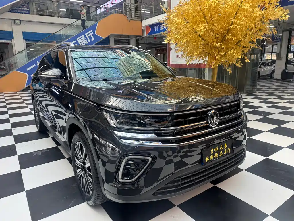 Volkswagen Tavendor — миниатюра 3