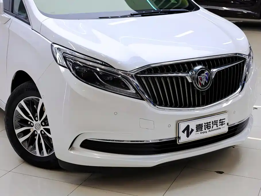 Buick GL8 — миниатюра 11