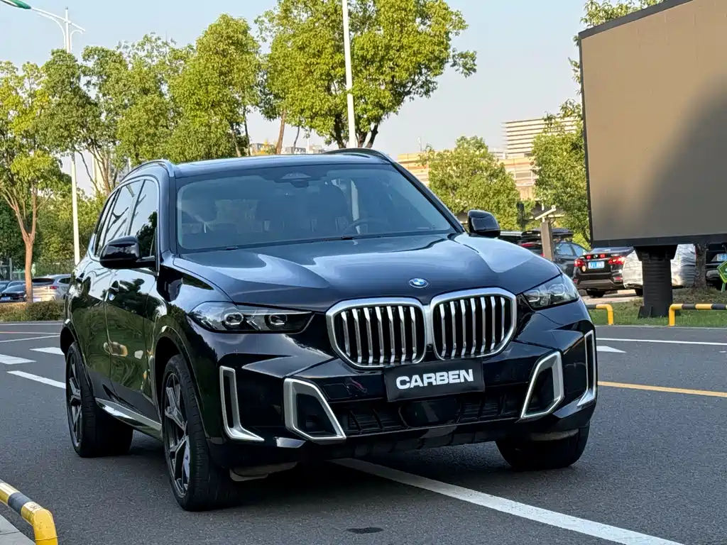 BMW X5 — миниатюра 3