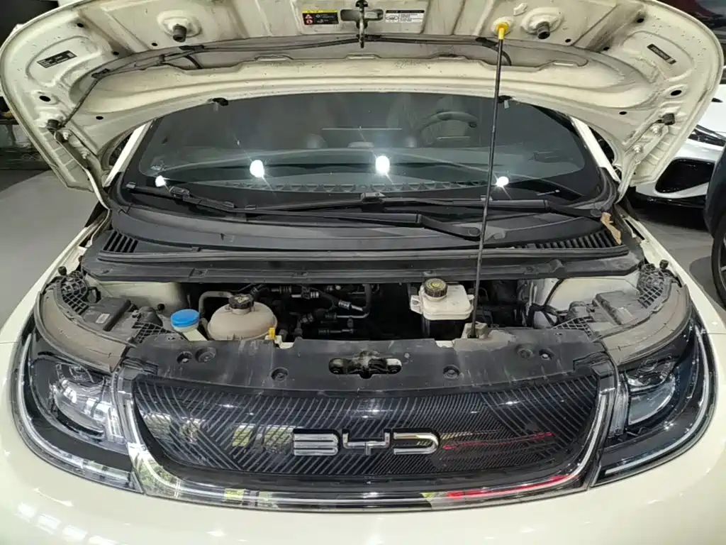 BYD Dolphin — миниатюра 20