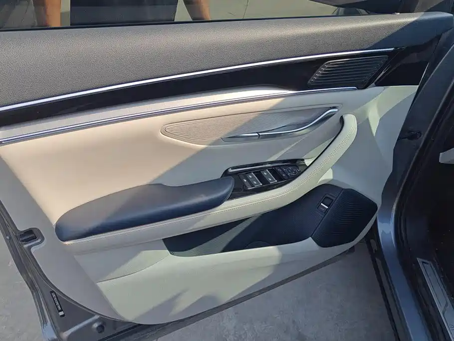 BYD PLUS New Energy — миниатюра 7