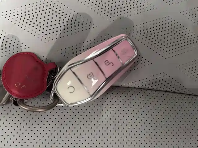 BYD Dolphin — миниатюра 10
