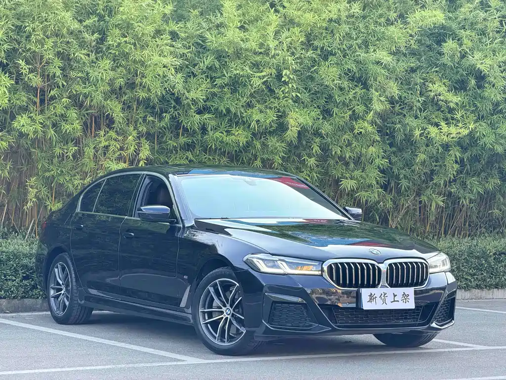 BMW 5 Series — миниатюра 2