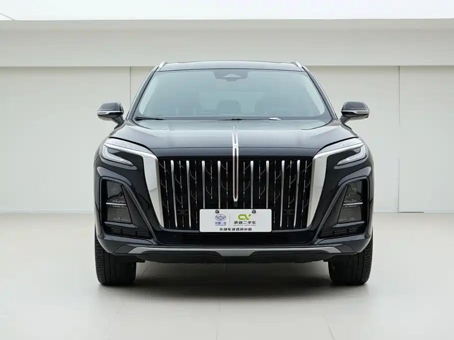 Hongqi Hongqi HS3 PHEV — миниатюра 2