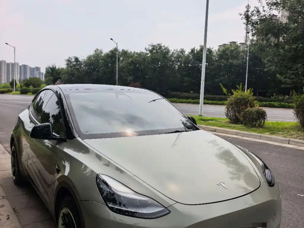 Tesla Model Y — миниатюра 2