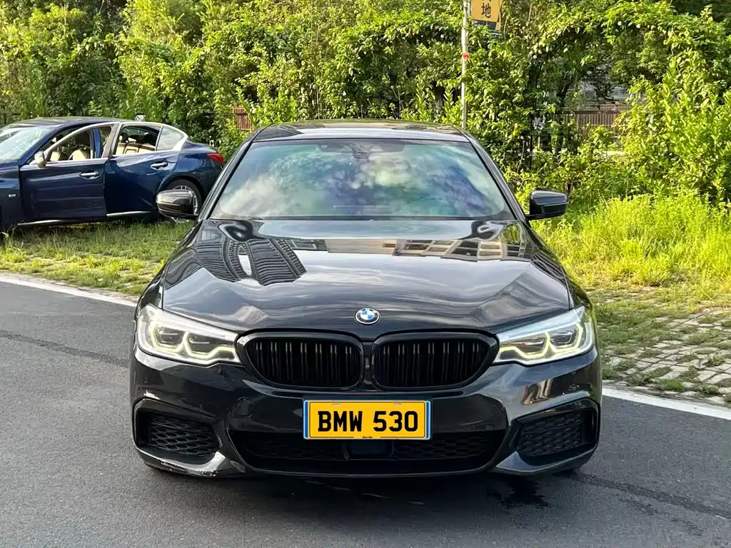 BMW 5 Series — миниатюра 2