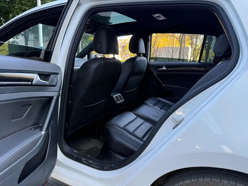 VOLKSWAGEN GOLF NEW ENERGY