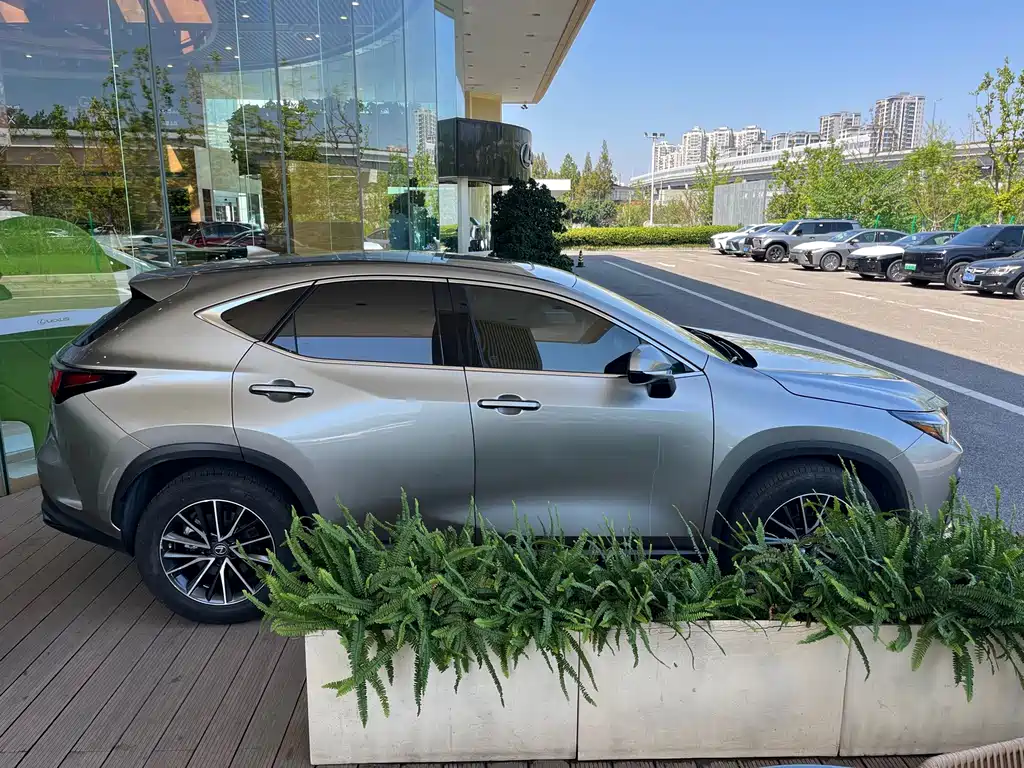 Lexus NX — миниатюра 5