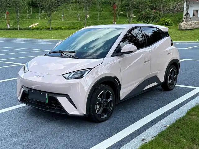 2024 BYD Seagull
