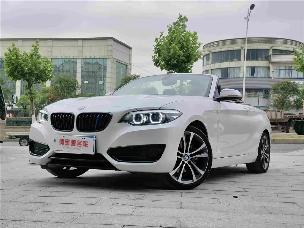 BMW 2 Series (Import)