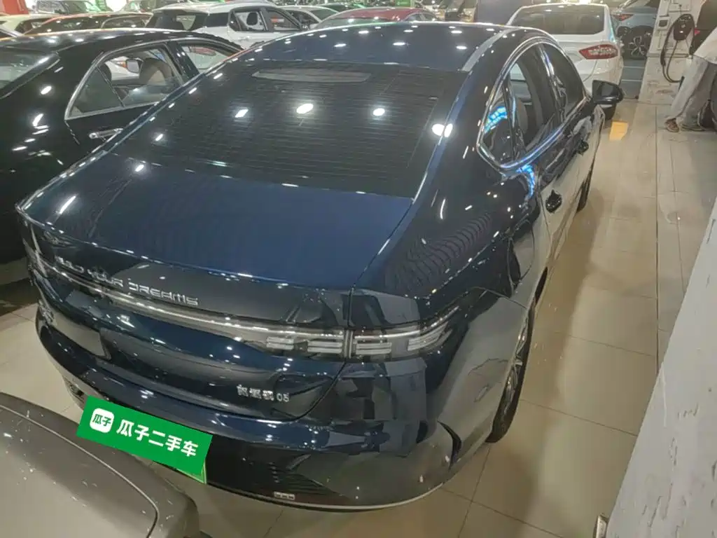 BYD Destroyer 05 — миниатюра 7