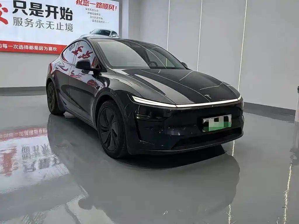 Tesla Model Y — миниатюра 2