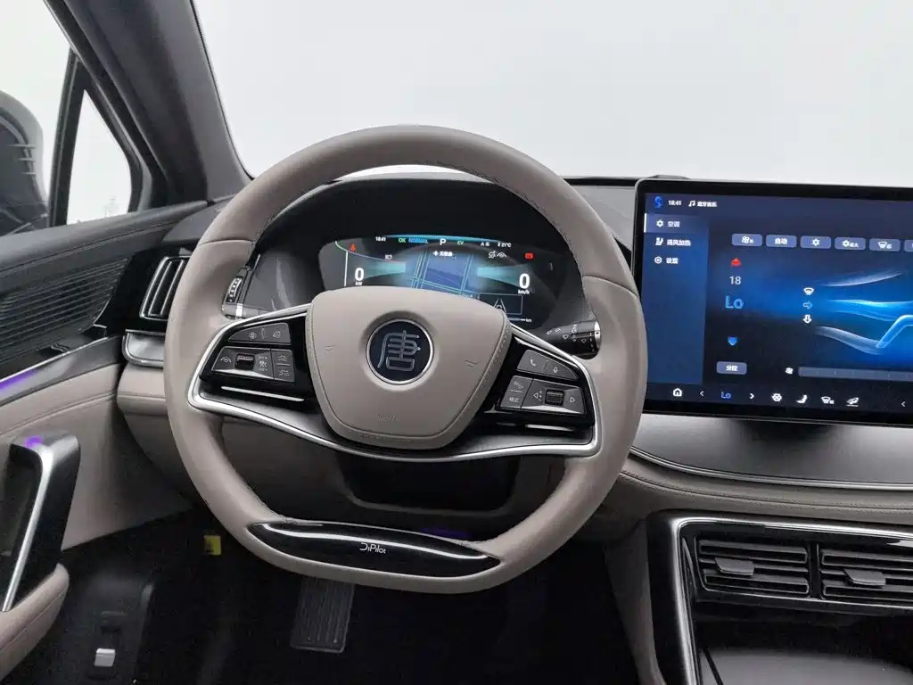 BYD Tang New Energy — миниатюра 11