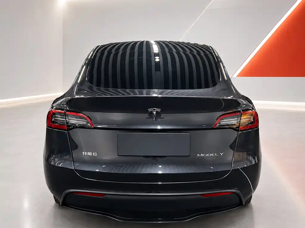 Tesla Model Y — миниатюра 5