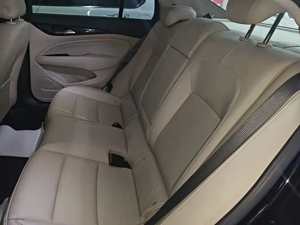 Buick Regal — миниатюра 17