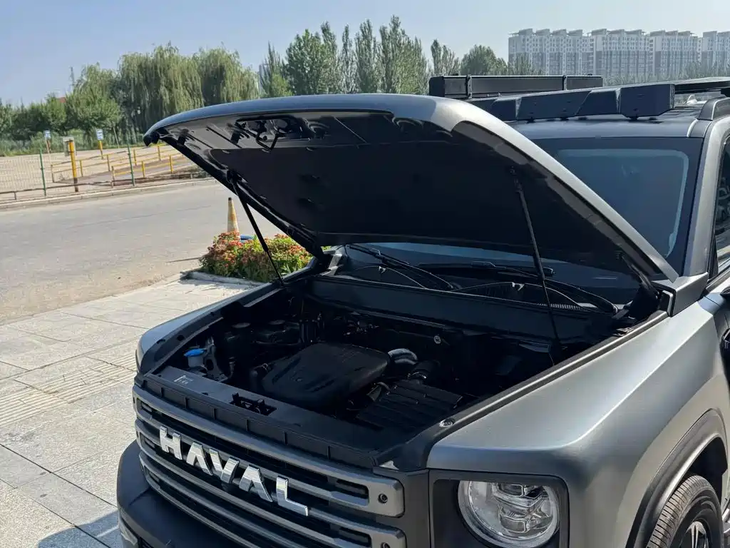 Haval Menglong New Energy — миниатюра 7