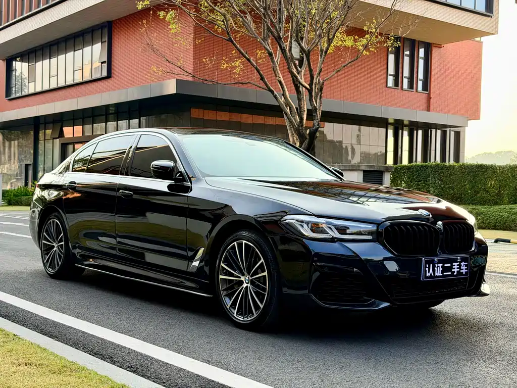 BMW 5 SERIES