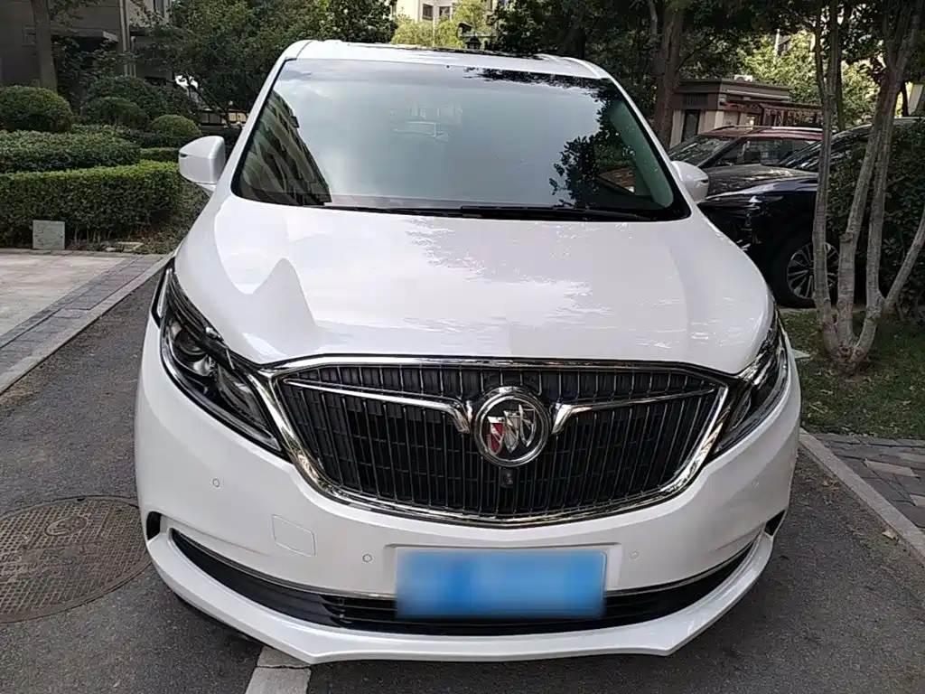 Buick GL8 — миниатюра 3