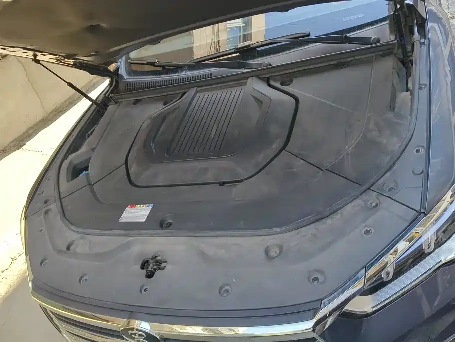 BYD Pro New Energy — миниатюра 10