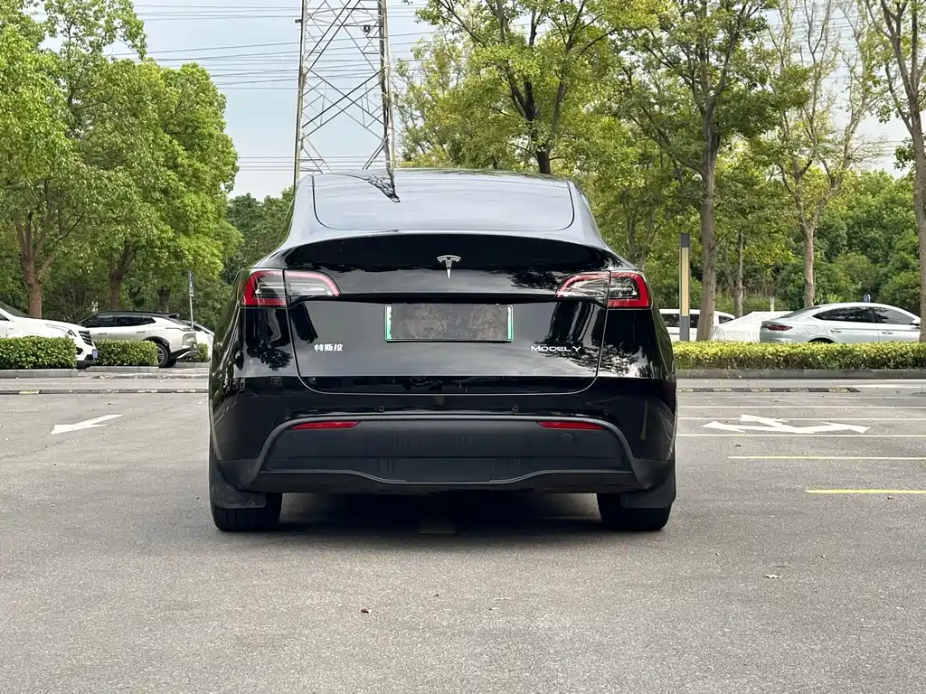 Tesla Model Y — миниатюра 5
