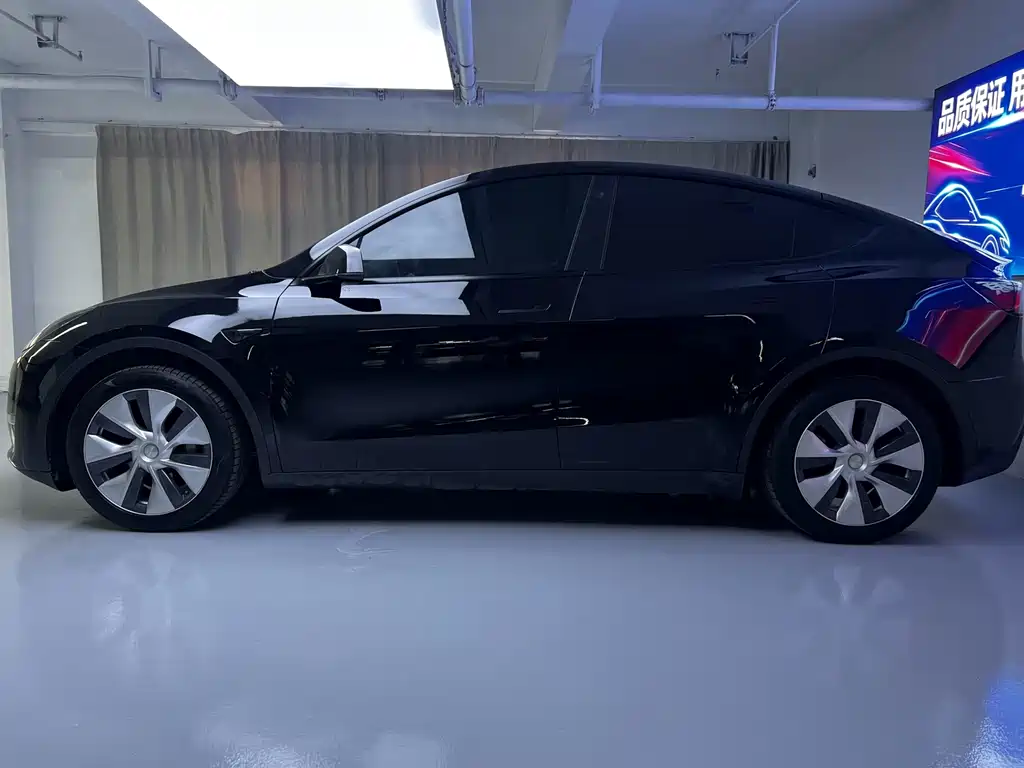 Tesla Model Y — миниатюра 9