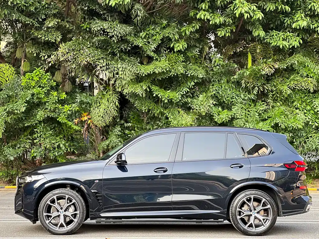 BMW X5 — миниатюра 2