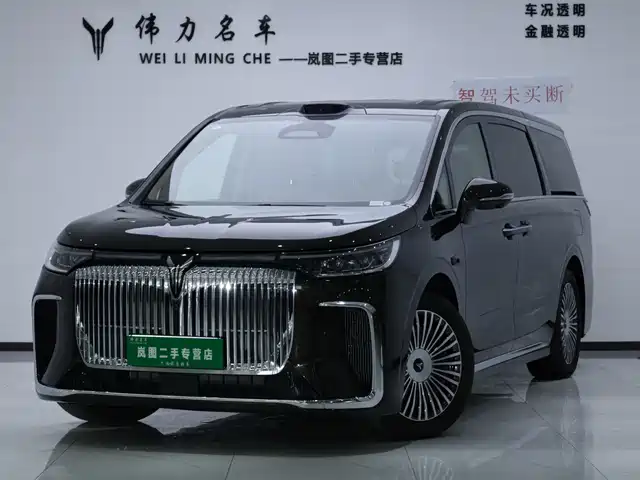 2025 Voyah Dream