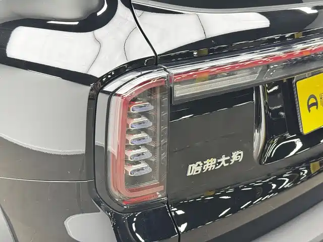 Haval Big Dog — миниатюра 15