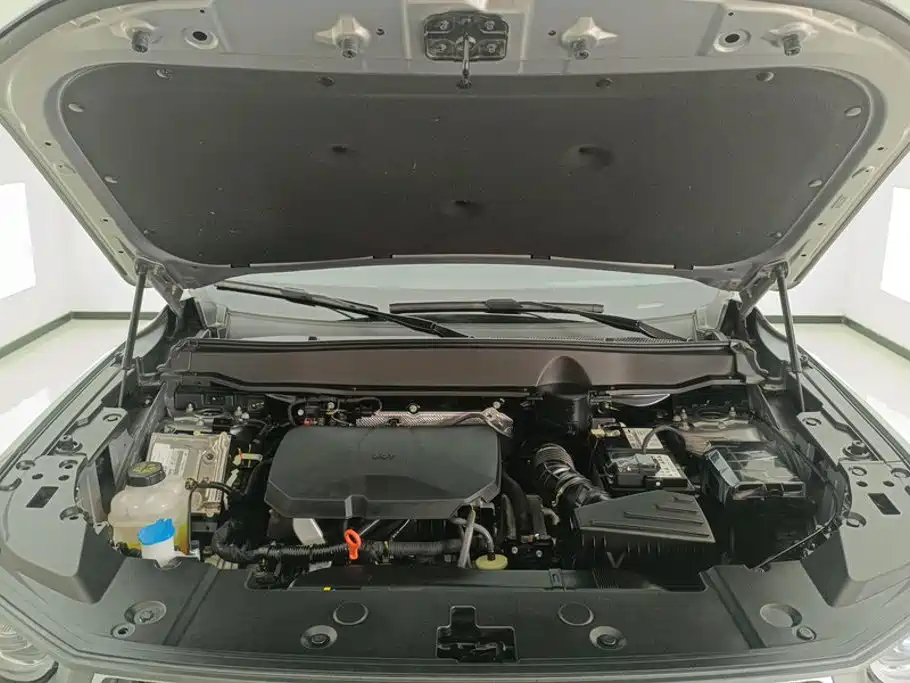 Haval Haval Big Dog PLUS — миниатюра 10