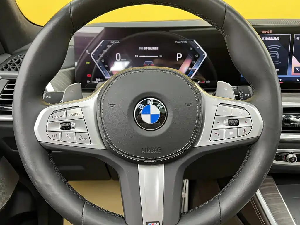 BMW X5 — миниатюра 19
