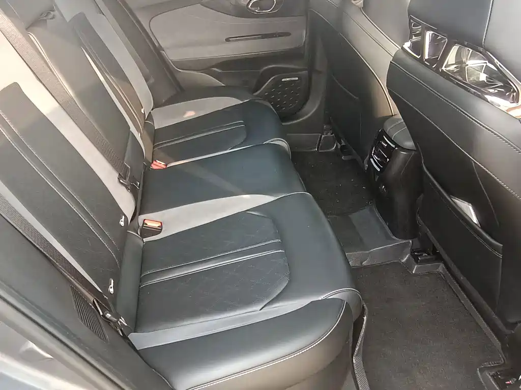GAC Motor Shadow Leopard — миниатюра 8