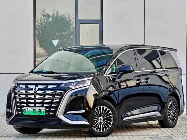 2024 Denza D9