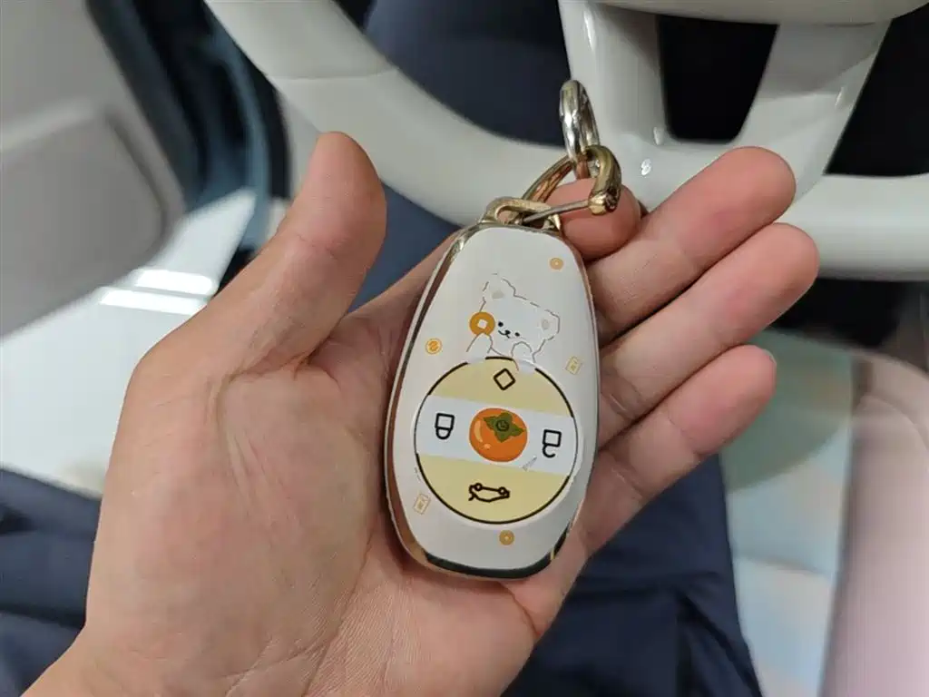 Leapmotor T03 2025 310