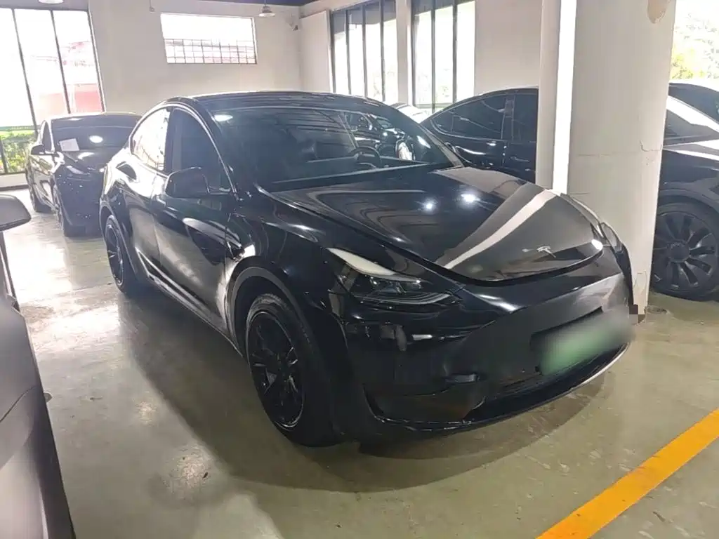 Tesla Model Y — миниатюра 4