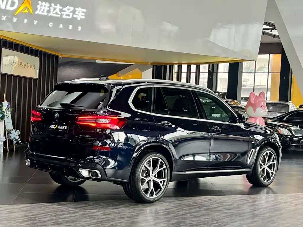 BMW X5 — миниатюра 10
