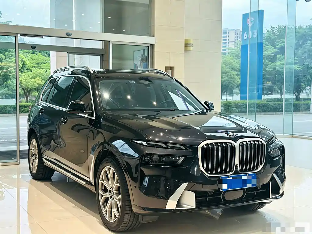 BMW X7 — миниатюра 6