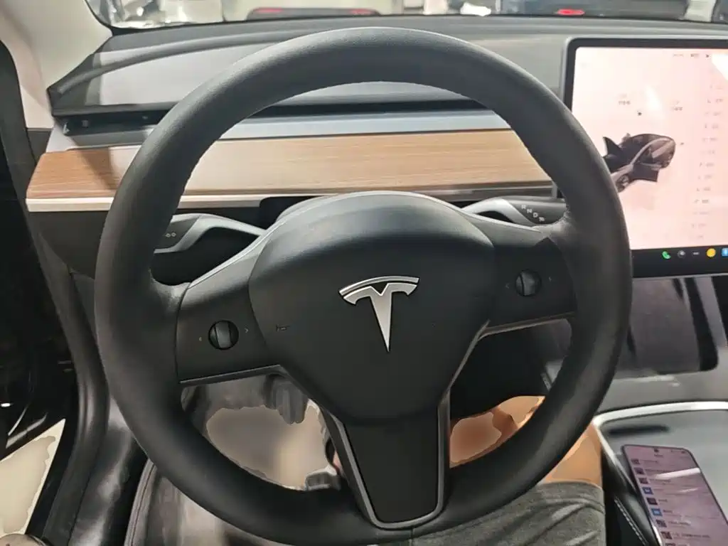 Tesla Model 3 — миниатюра 11
