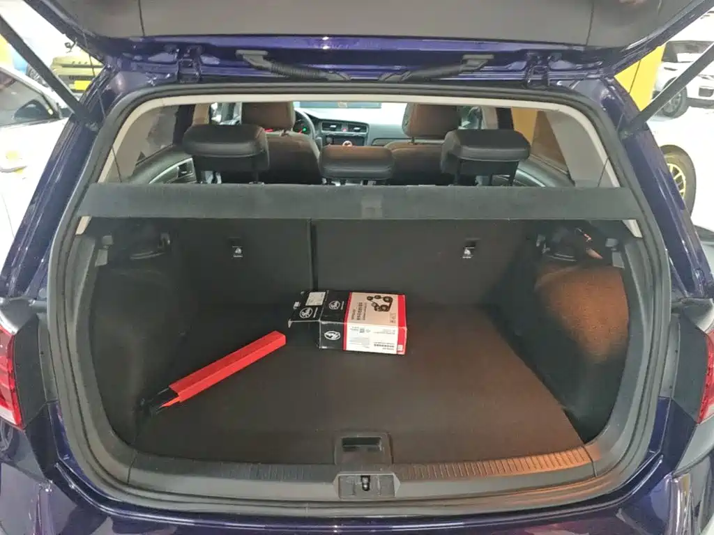 Volkswagen Golf — миниатюра 19