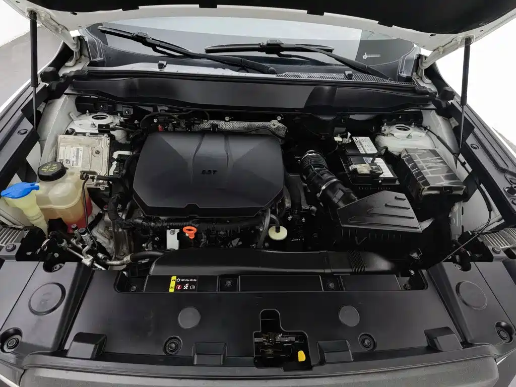 Haval Big Dog — миниатюра 6