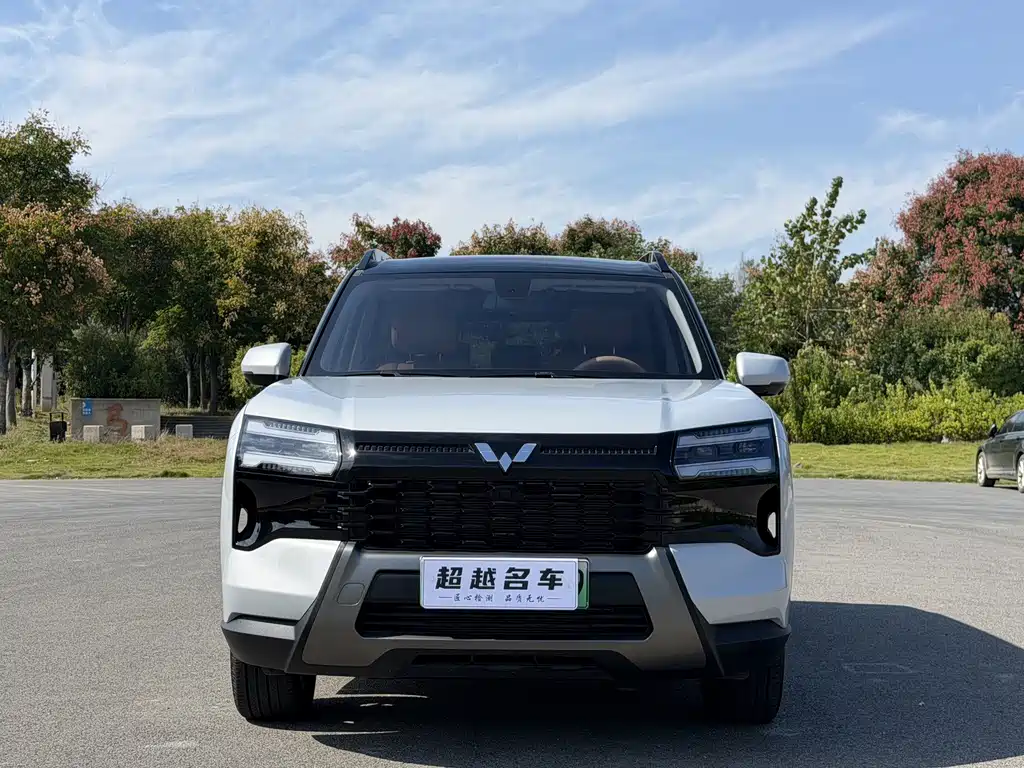 Wuling Xingguang 560 New Energy — миниатюра 2