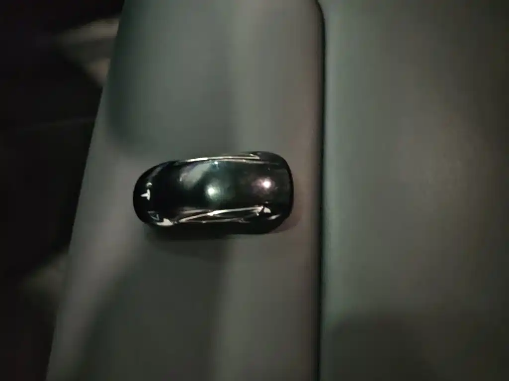 Tesla Model X — миниатюра 9