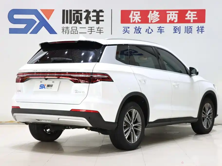 BYD Pro — миниатюра 4