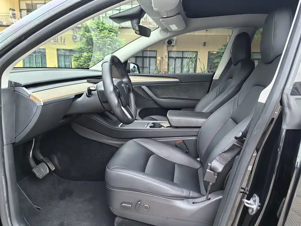 Tesla Model Y — миниатюра 8
