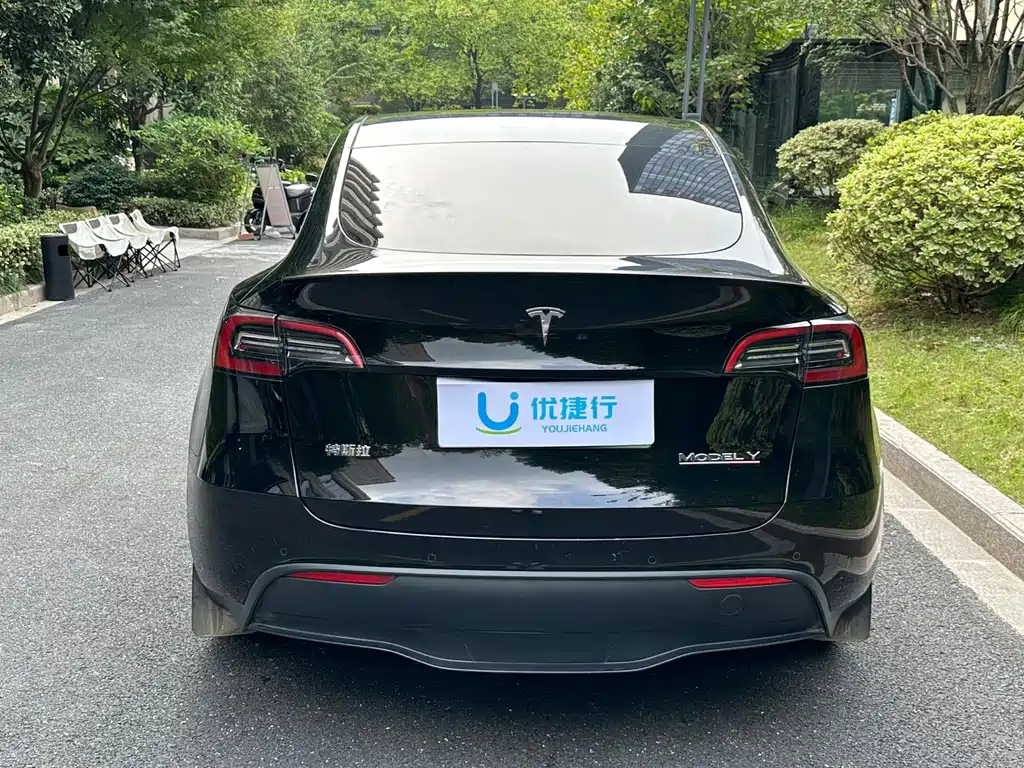 Tesla Model Y — миниатюра 5
