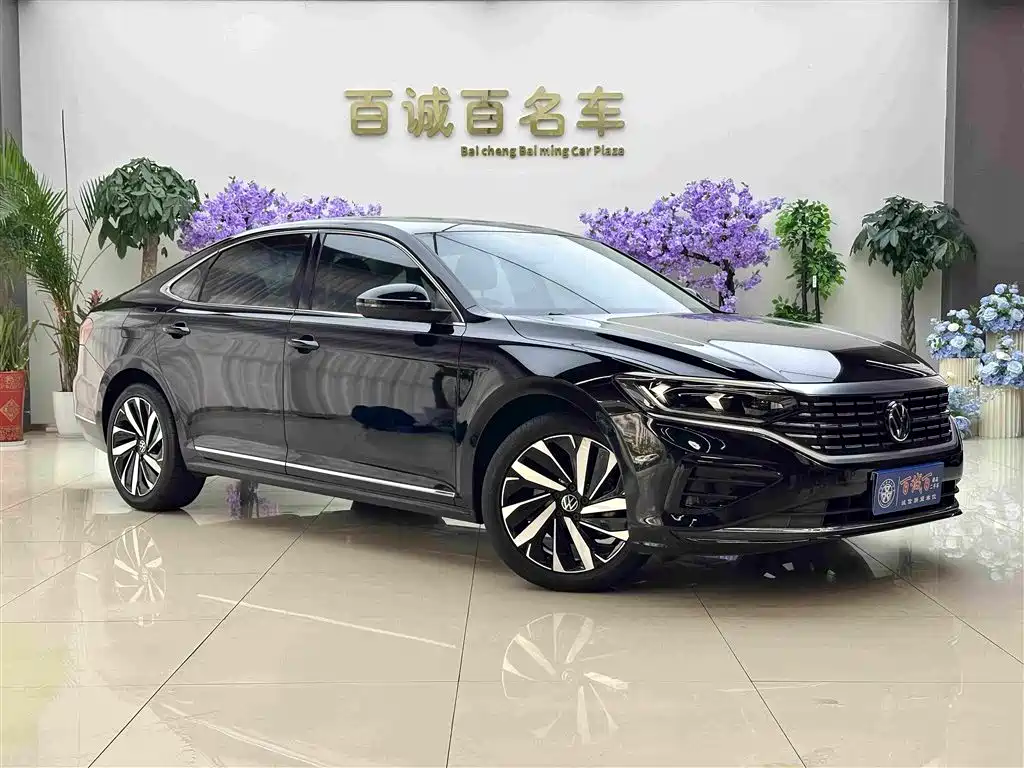 Volkswagen Passat — миниатюра 3