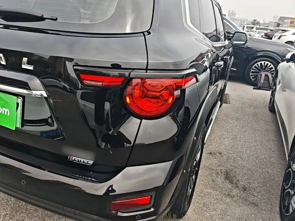 Haval Big Dog PLUS New Energy — миниатюра 8
