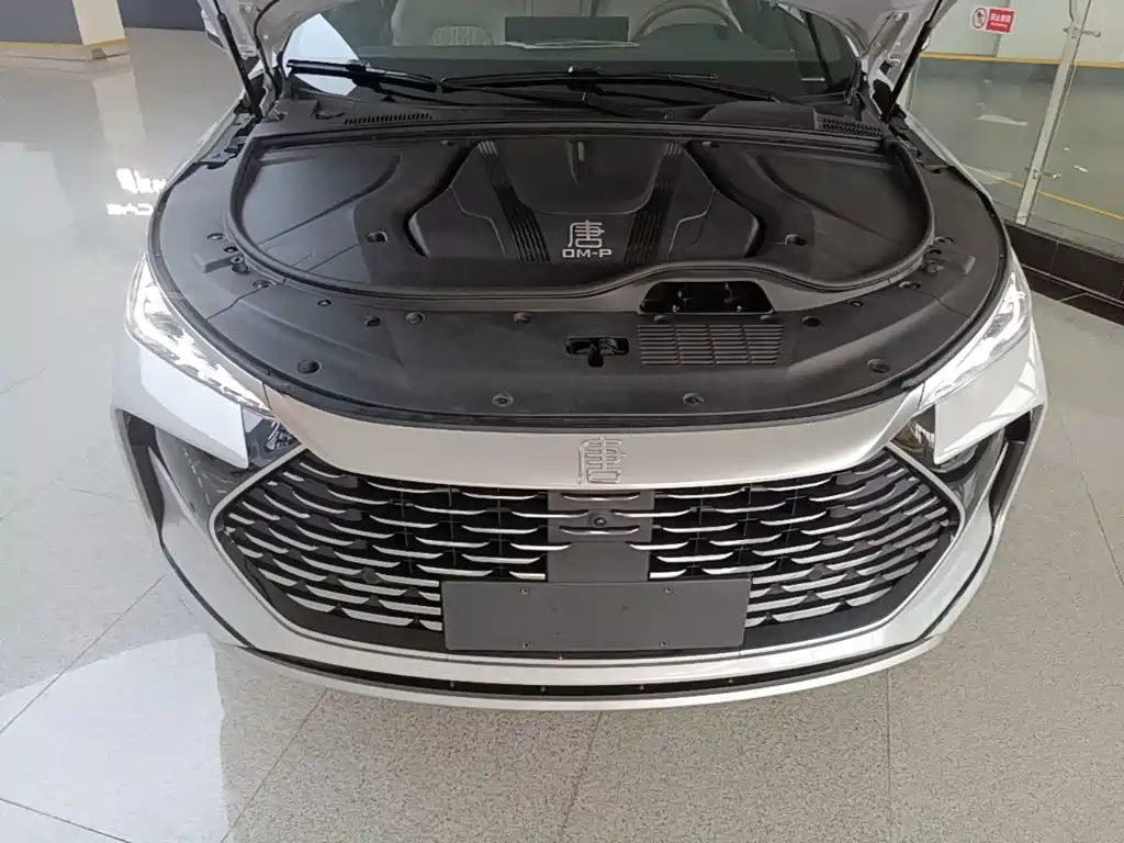 BYD Tang New Energy — миниатюра 20