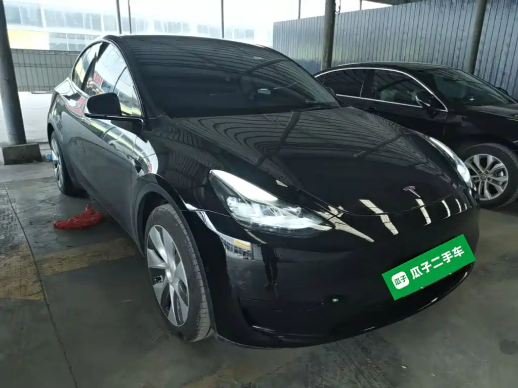 Tesla Model Y — миниатюра 4