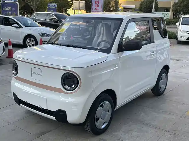 GEELY GALAXY PANDA 2025