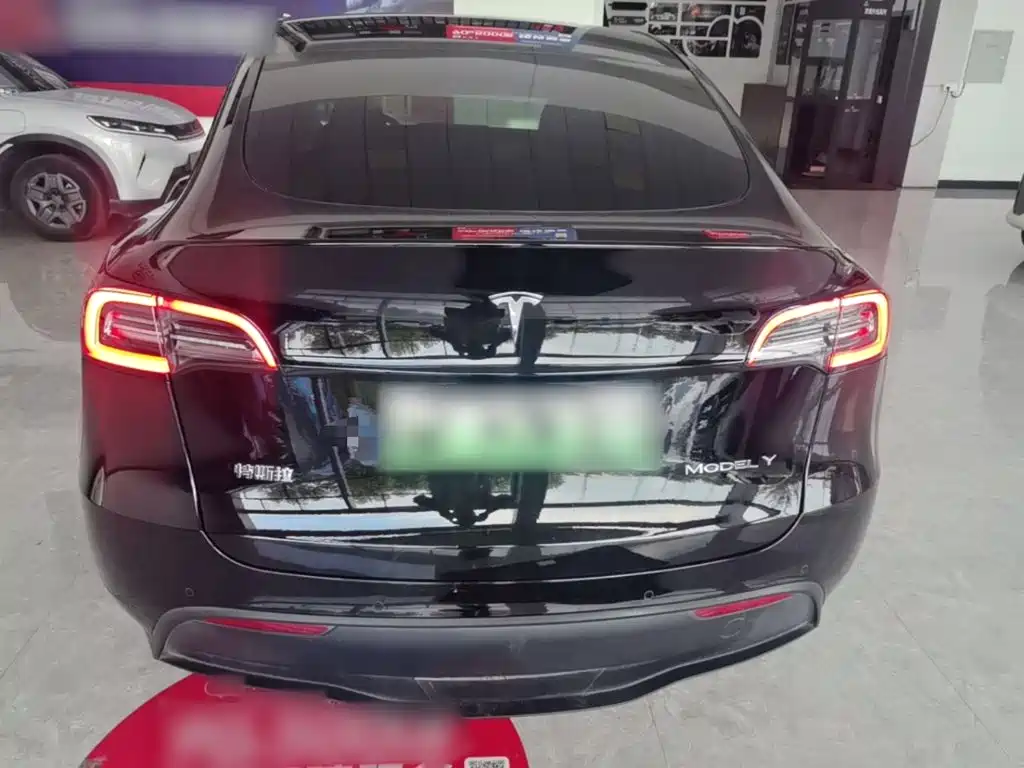 Tesla Model Y — миниатюра 6